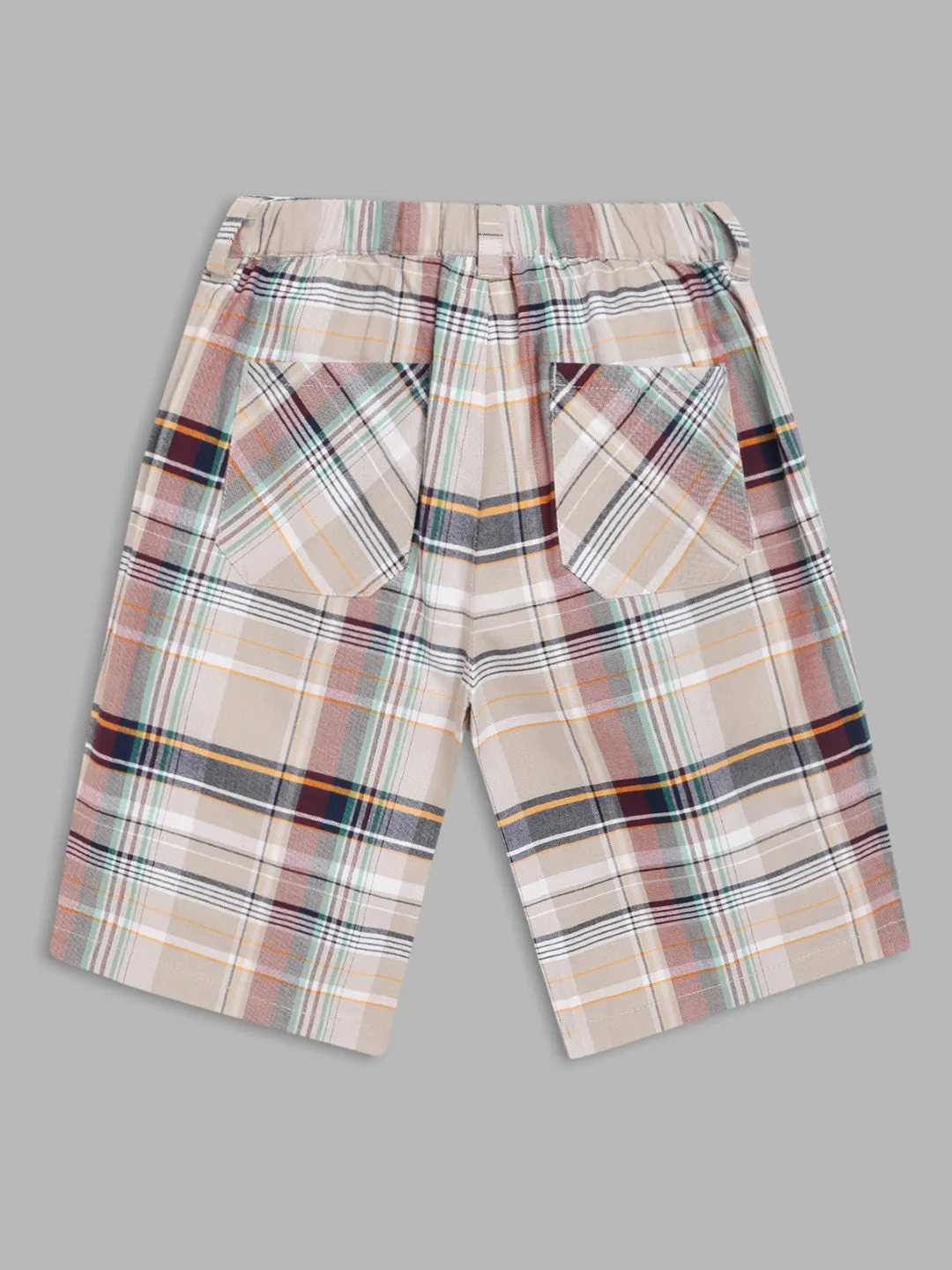 Blue Giraffe Boys Multi Checked Regular Fit Shorts