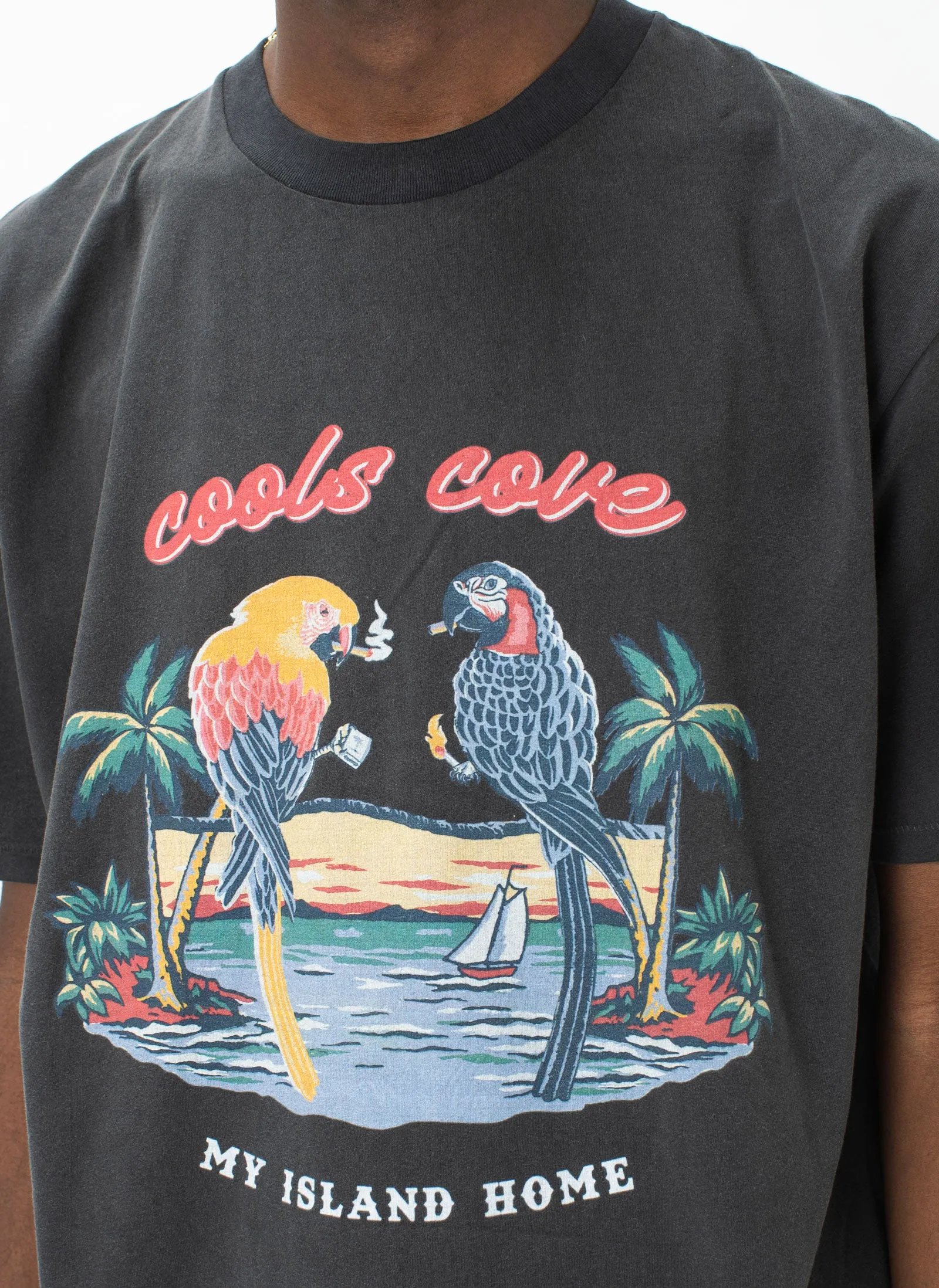 Cools Cove Homie Tee Pigment Black