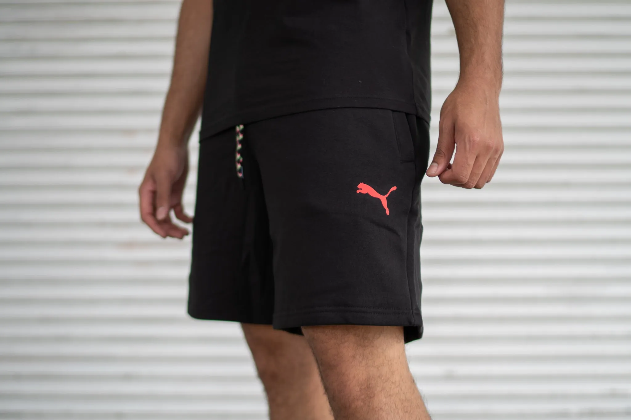 Puma Shorts (Black/Multi)