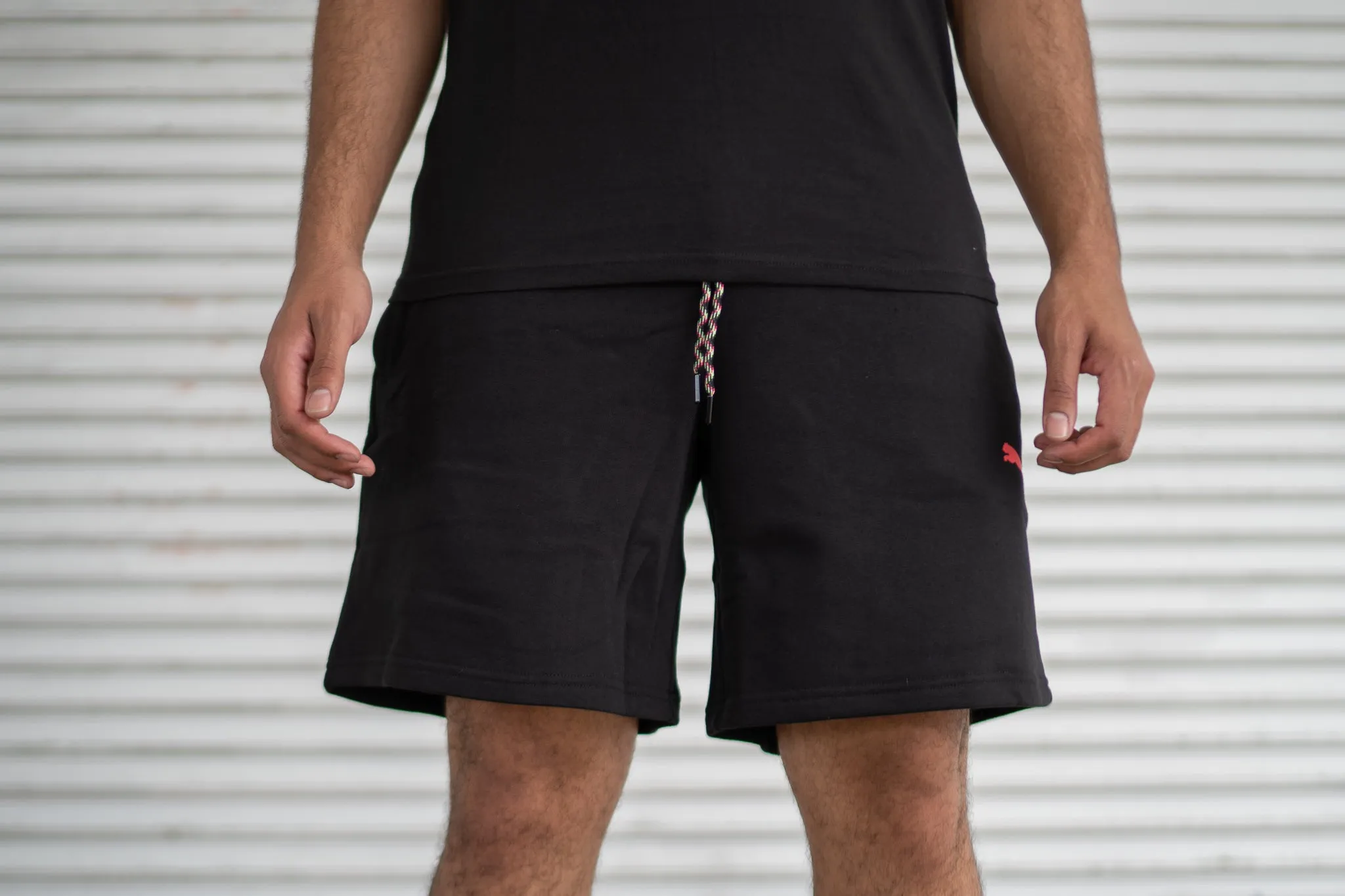 Puma Shorts (Black/Multi)