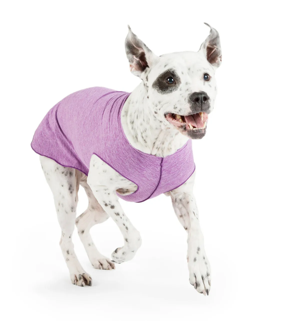 Sun Shield Tee shirts for Dogs and Cats, in Violet Heather